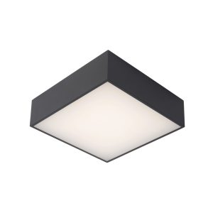 ROXANE Flush ceilin. Bathr.-Anthra.-LED-12W-2700K
