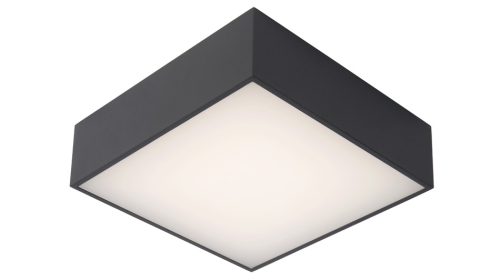 ROXANE Flush ceilin. Bathr.-Anthra.-LED-12W-2700K